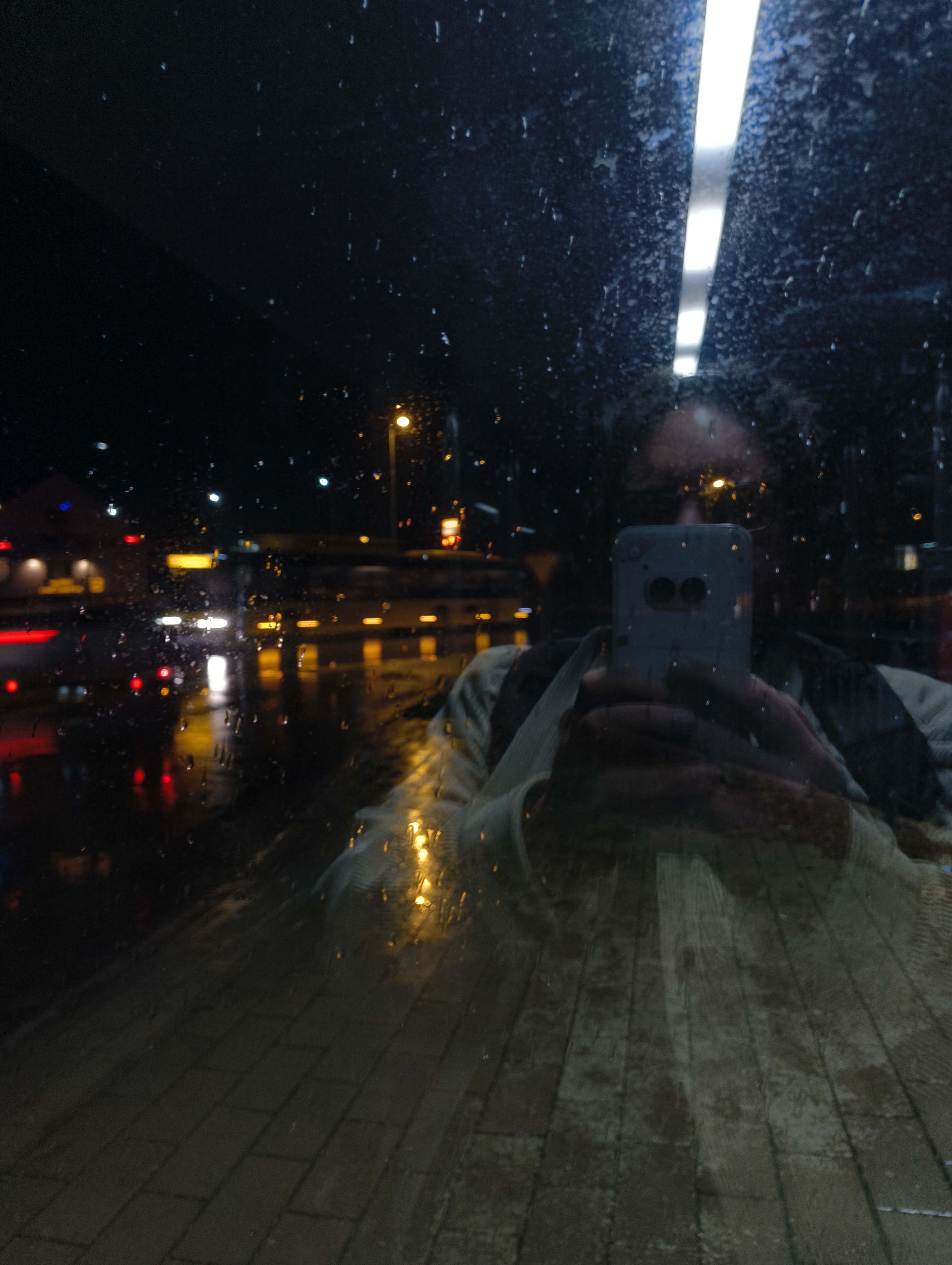 Autorretrato en el trayecto
